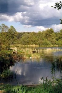 Mazury