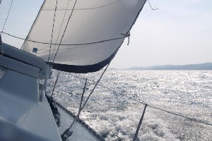 Sim Team Cro 2009