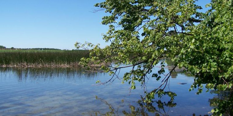 Żeglarsko i piłkarsko - Mazury 2006
