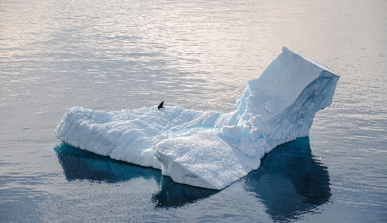 Ocean Południowy ratuje klimat…