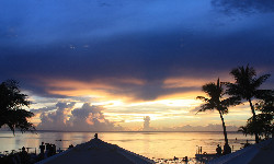 Dobra wiadomość: na atolu Palmyra odtworzono wymarły gatunek