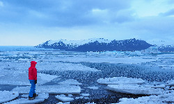 Badali lód, znaleźli… wyspę